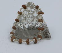 Load image into Gallery viewer, 13 Mukhi Rudraksha Bracelet(Silver)