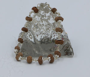 13 Mukhi Rudraksha Bracelet(Silver)