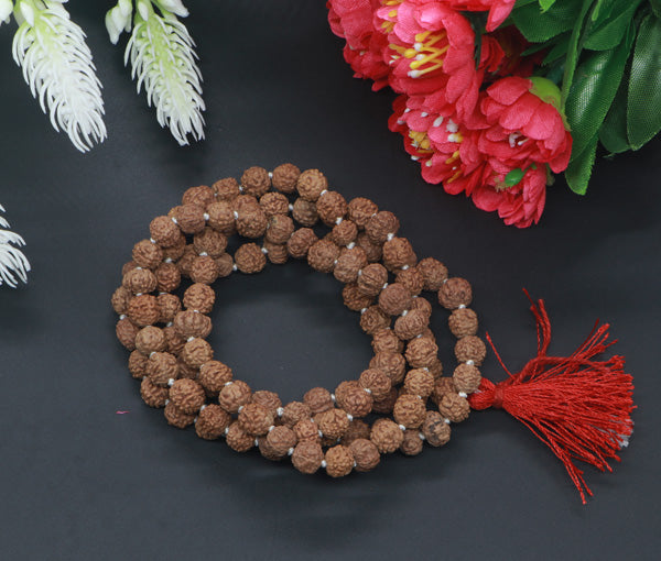 Buy 108+1 beads original Rudraksha mala at best – Rudradhyay