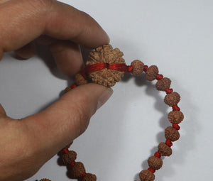 11 Mukhi Bracelet - Nepali & Indonesian Beads Combo.