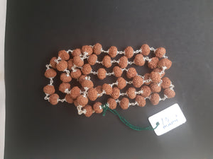 54+1 beads 10 Mukhi Rudraksha mala with Silver capping - Rudradhyay