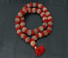 Load image into Gallery viewer, 32+1 Beads 7 Mukhi Nepali Rudraksha Kantha