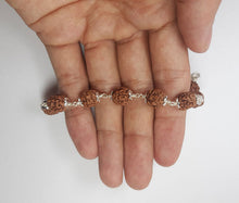 Load image into Gallery viewer, 4 Mukhi Rudraksha Bracelet (Silver) - Rudradhyay