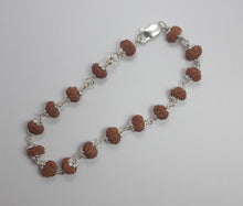 Load image into Gallery viewer, 10 Mukhi Rudraksha Bracelet (Silver) - Rudradhyay