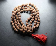 Load image into Gallery viewer, 5 face rudraksha mala with 108+1 beads - Rudradhyay