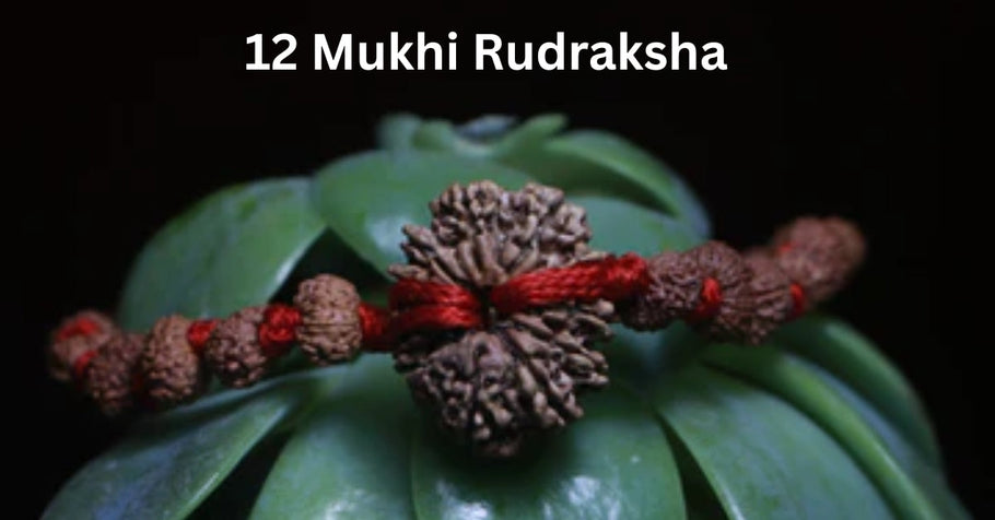 How 12 Mukhi Rudraksha Transforms Fear into Radiance and Strength