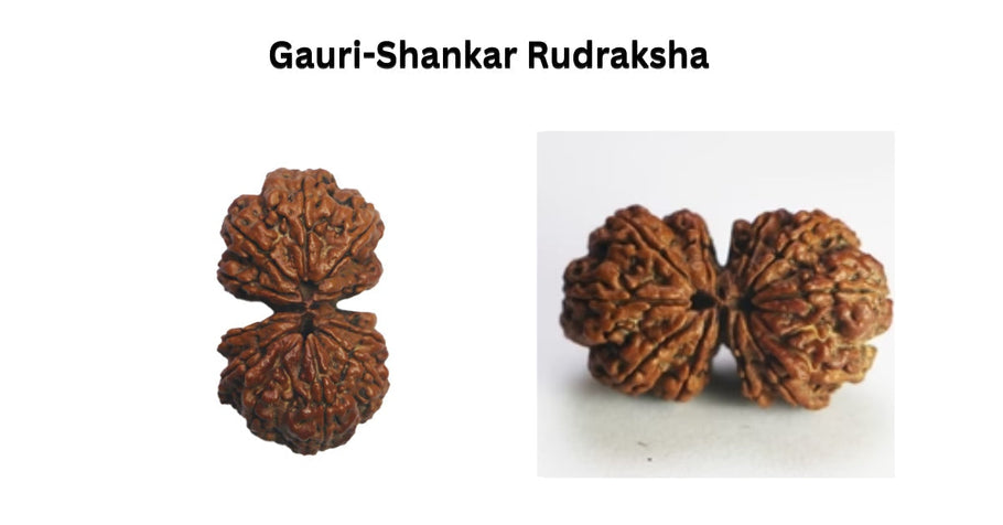 How Gauri Shankar Rudraksha Brings Love, Success, and Peace Into Your Life