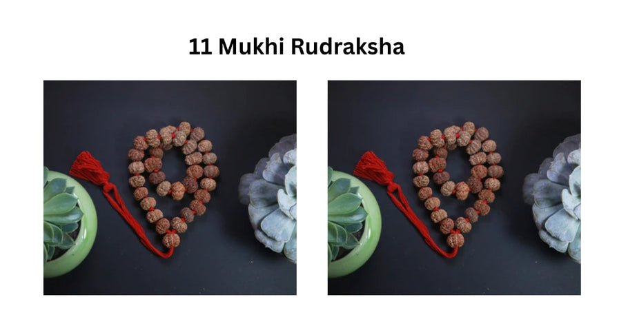 Tap into Hanuman’s Energy with the Sacred 11 Mukhi Rudraksha