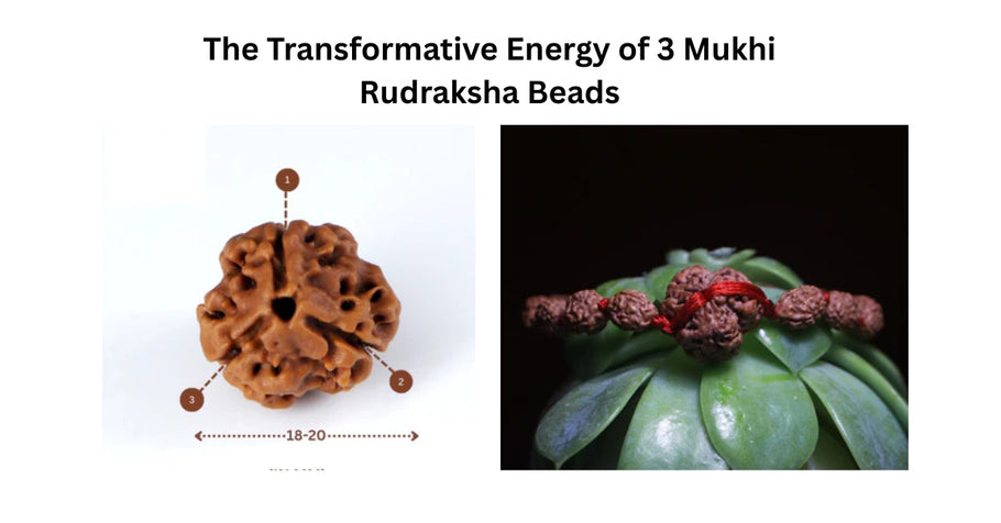 Burning Past Karma: The Transformative Energy of 3 Mukhi Rudraksha Beads