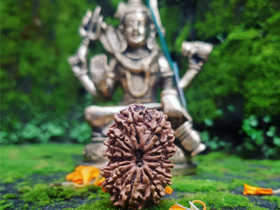 Rudraksha - Things you Need to Know.