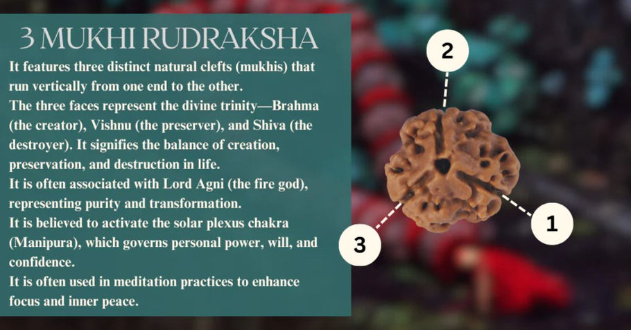 Why 3 Mukhi Rudraksha is the Ultimate Remedy for Past Karma