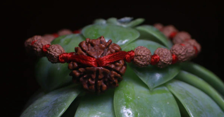 Panchmukhi Rudraksha is Perfect for Protection and Prosperity