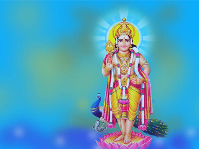 6 Mukhi Rudraksha | 6 Mukhi Rudraksha benefits
