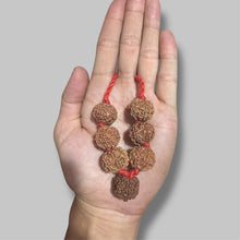 Load image into Gallery viewer, Shani Sade sati &amp; Dhaiya Rudraksha Kavach