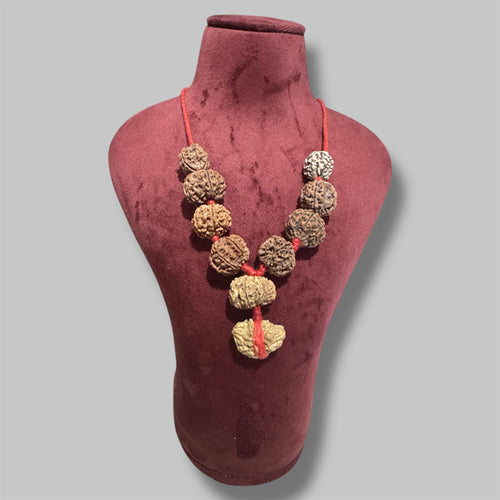 Shree Narayan mala Kavach