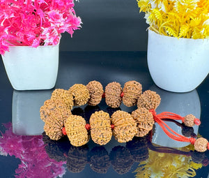 11 MUKHI RUDRAKSHA BRACELET - NEPALI