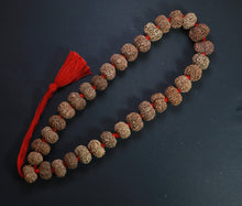 Load image into Gallery viewer, 32+1 Beads 10 Mukhi Nepali Rudraksha Kantha