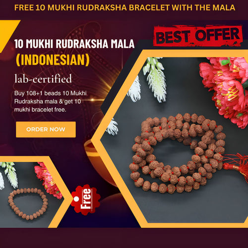 10 Mukhi Rudraksha Mala - Rudradhyay