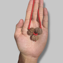 Load image into Gallery viewer, Kaal Sharp dosh kavach