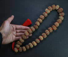 Load image into Gallery viewer, 32+1 Beads 11 Mukhi Nepali Rudraksha Kantha