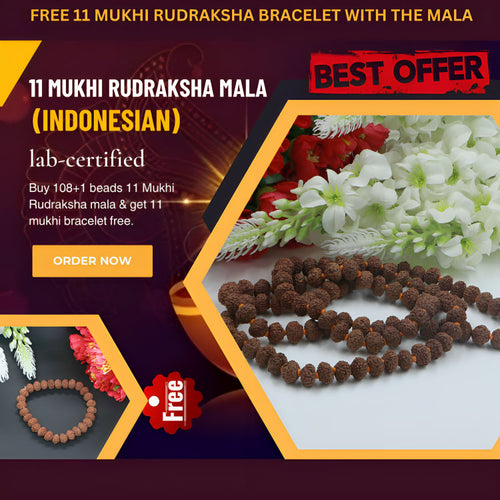 11 Mukhi Rudraksha mala(Indonesian Beads) - Rudradhyay