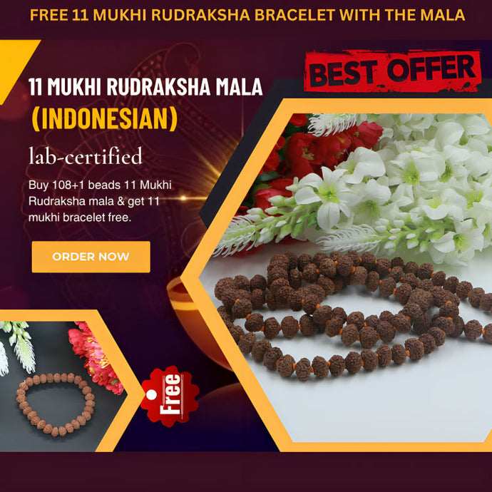 11 Mukhi Rudraksha mala(Indonesian Beads) - Rudradhyay