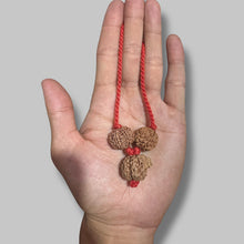 Load image into Gallery viewer, Lakshmi Ganesha Rudraksha Kavach