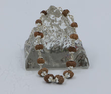 Load image into Gallery viewer, 12 Mukhi Rudraksha Bracelet(Silver)