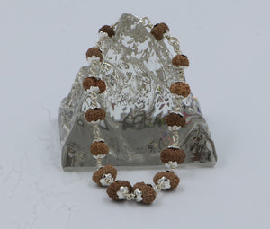 12 Mukhi Rudraksha Bracelet(Silver)