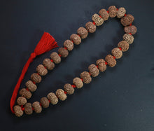 Load image into Gallery viewer, 32+1 Beads 12 Mukhi Nepali Rudraksha Kantha