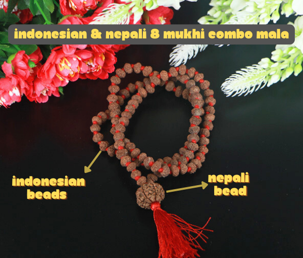 Mukhi Rudraksha Mala with Mukhi Nepali Meru