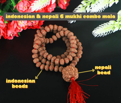 6 Mukhi Rudraksha Mala with 6 Mukhi Nepali Meru