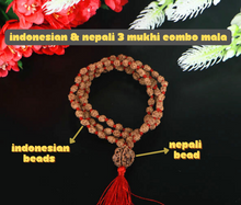 Load image into Gallery viewer, 3 Mukhi Rudraksha Mala with 3 Mukhi Nepali Meru