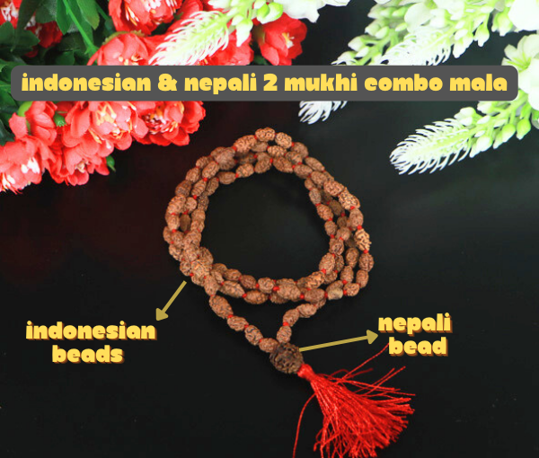 2 Mukhi Rudraksha Mala with 2 Mukhi Nepali Meru