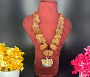 1 - 14 Mukhi Rudraksha Mala combination - Nepali