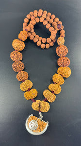 1 - 14 Mukhi Rudraksha Mala combination - Nepali