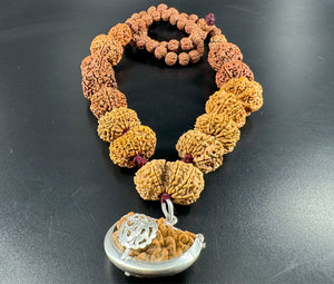 1 - 14 Mukhi Rudraksha Mala combination - Nepali