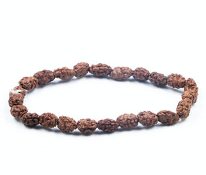 2 Mukhi Rudraksha Bracelet