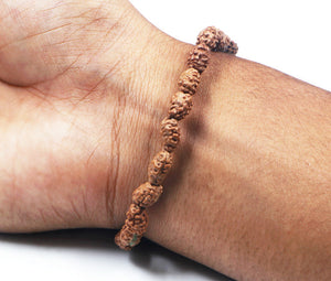 2 Mukhi Rudraksha Bracelet