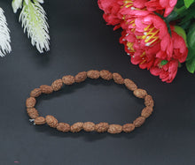 Load image into Gallery viewer, 2 Mukhi Rudraksha Bracelet