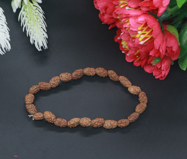 Buy 2 Mukhi Rudraksha From Indonesia/Java with Adjustable Thread - 10mm  Online at Best Prices