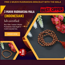 Load image into Gallery viewer, 3 Mukhi Rudraksha Mala - Rudradhyay