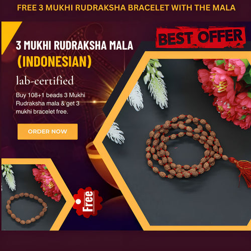 3 Mukhi Rudraksha Mala - Rudradhyay