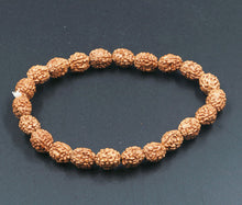 Load image into Gallery viewer, 4 Mukhi Rudraksha Bracelet