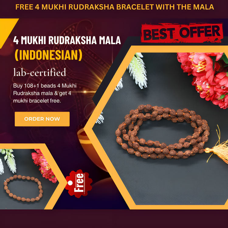 4 Mukhi Rudraksha Four Face Rudraksh 16-18 mm 12 NEPAL beads Bracelet wrist  band | eBay