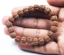 Load image into Gallery viewer, 5 Mukhi Rudraksha Bracelet