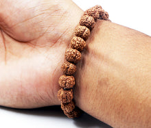 Load image into Gallery viewer, 5 Mukhi Rudraksha Bracelet