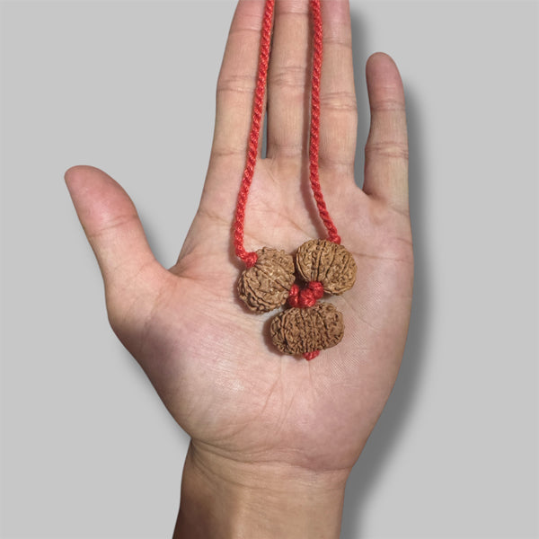 Rudraksha kavach for protection(Raksha) – Rudradhyay
