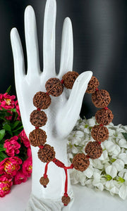 6 Mukhi Rudraksha Brcaelet - Nepali