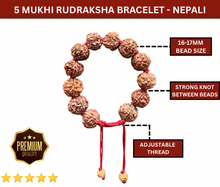 Load image into Gallery viewer, 5 Mukhi Rudraksha Bracelet - Nepali